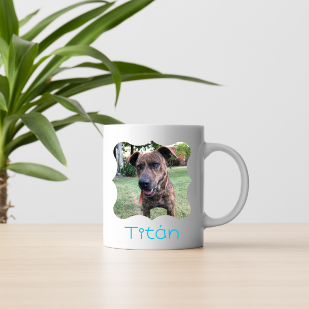 Taza Personalizada con tu Mascota – 325 ml 🐶🐱☕